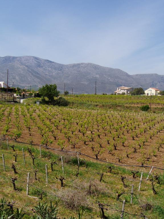Christina Villas- Minoan Inland Pentamodi Luaran gambar